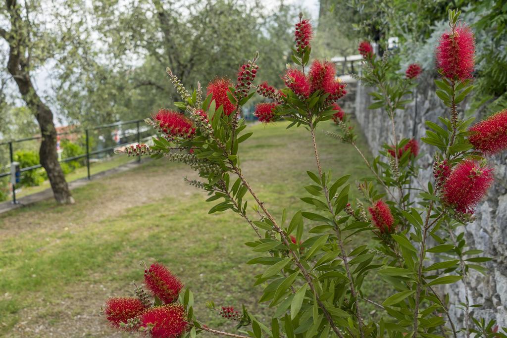 Monja Camping Village Brenzone sul Garda Ngoại thất bức ảnh