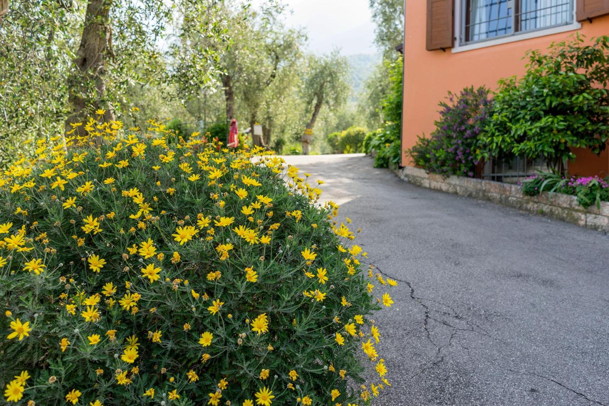 Monja Camping Village Brenzone sul Garda Ngoại thất bức ảnh