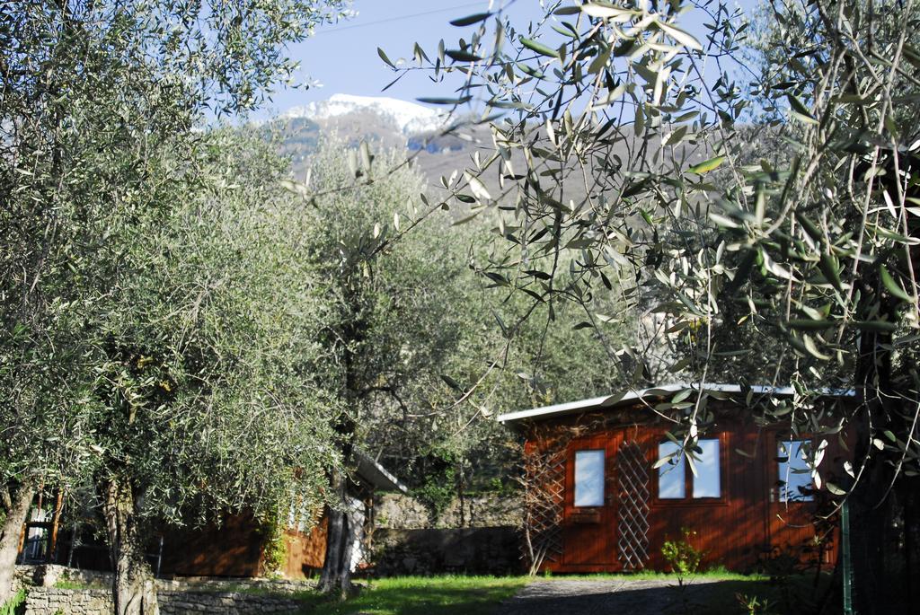 Monja Camping Village Brenzone sul Garda Ngoại thất bức ảnh