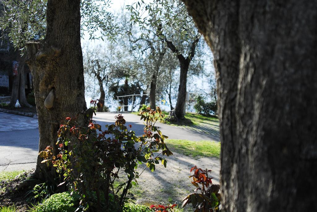 Monja Camping Village Brenzone sul Garda Ngoại thất bức ảnh